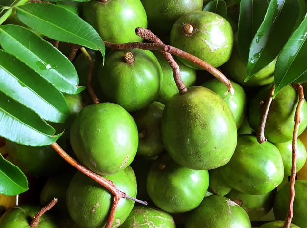 Fertilizarea pomilor fructiferi din Hawaii