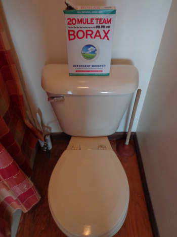 Toilet #1 and Borax