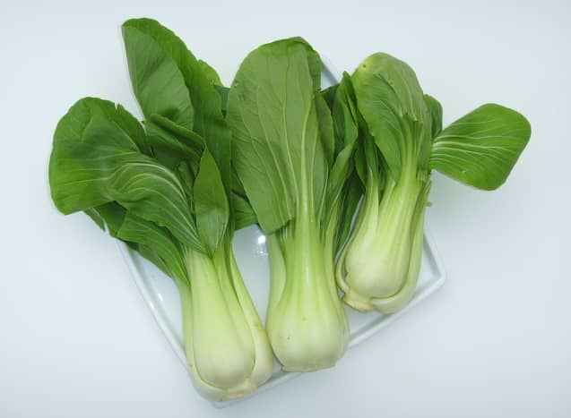 Pak choy is a fast-growing vegetable!
