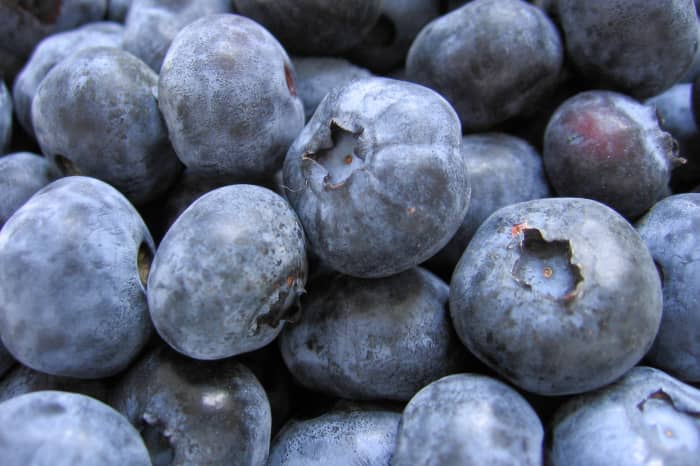 Foods that can give false melena &acirc; Blueberries.