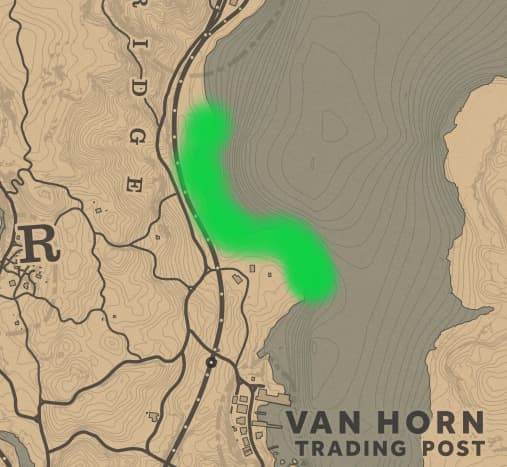 You can find Pelicans along the shoreline north of Van Horn. 