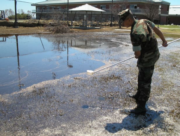 An effective way to control mosquitoes is to find and eliminate mosquito larvae.
