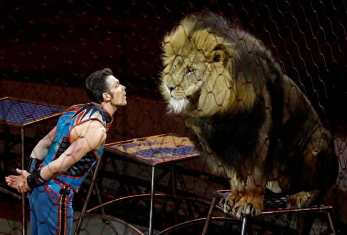 Life After Ringling: What Happens When the Circus Closes Down - HobbyLark