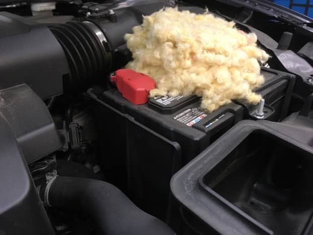 Can Rodents or Mice Ruin a Car? What to Do About Car Pests - HubPages