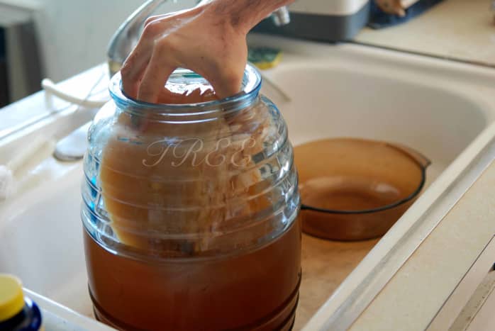 Put the scoby into your tea-and-sugar mixture.