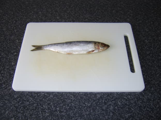 Small herring ready to be prepared kipper style.