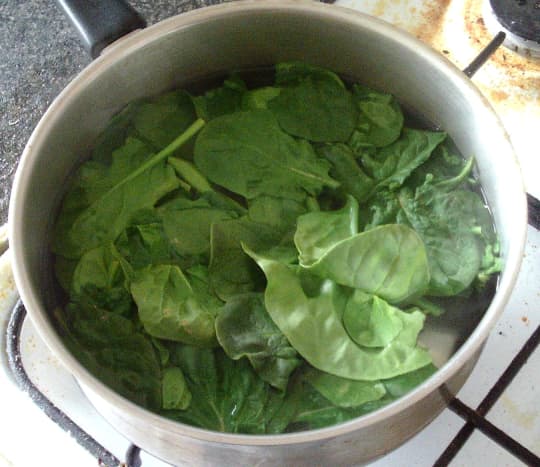 Spinach is briefly blanched in salted water