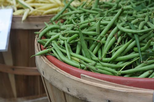 Freshly harvested green beans. (Photo courtesy from Anne Brones - Flickr)