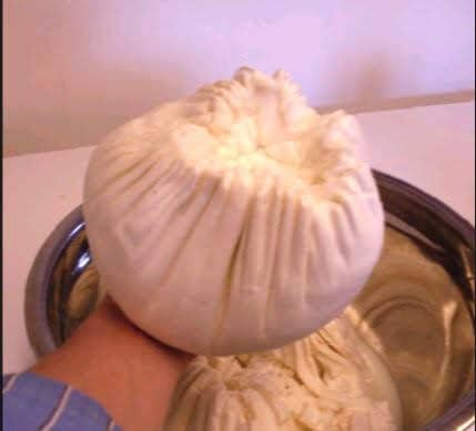 Here is what your curd ball should look like when it is done draining. This one is very big.