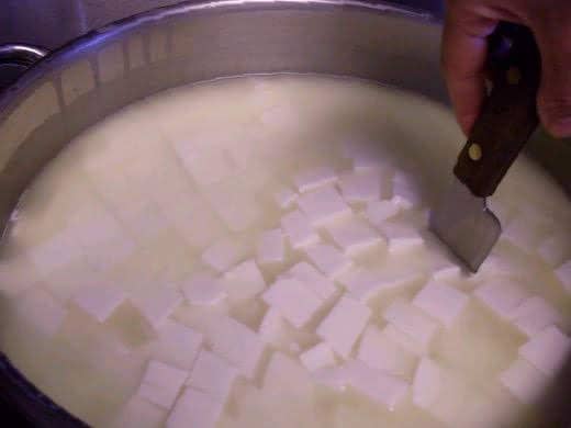 Cut the curds into 1/2-inch strips.