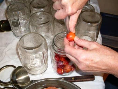 Prick each plum with a pin, needle, or knife so it doesn't explode when heated. Pack plums snugly into jars.
