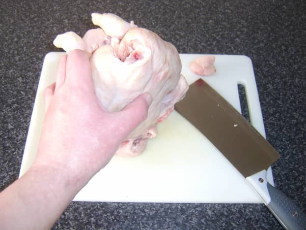Preparing to chop the backbone from a whole chicken. Thumb is pressing on the backbone - but will be removed well clear before cuts are made either side!