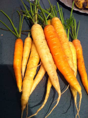 These are fesh carrots from the local farmer's market.