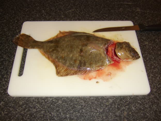 The head is cut from the flounder and removed
