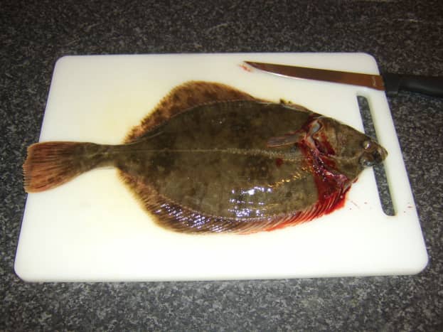 A deep cut is made around the flounder's head