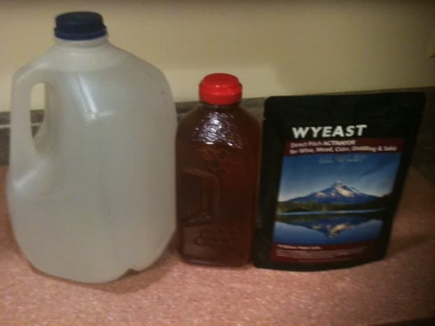The basic ingredients: water, honey, and yeast.