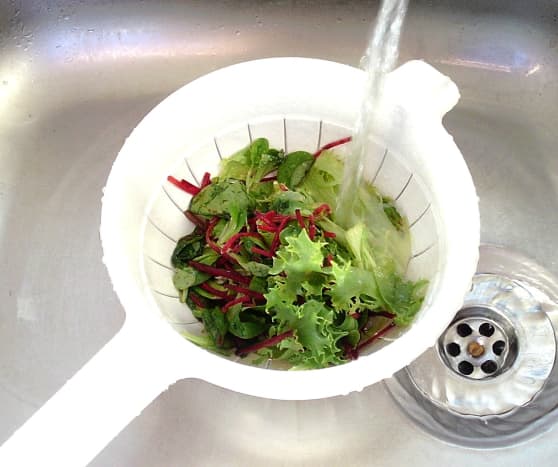 Mixed salad leaves are washed thoroughly before use