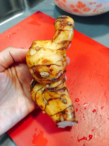This is a galangal root. 