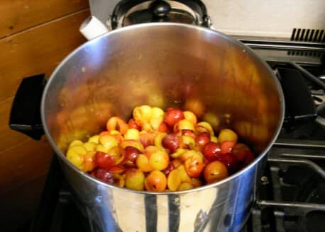 Place the pitted plums in a saucepan, kettle, or stock pot. You can make any amount of jam you like, but a deeper pot requires more stirring and is apt to stick. Two shallow pots are better than one huge one. Add water as necessary. Use low heat.
