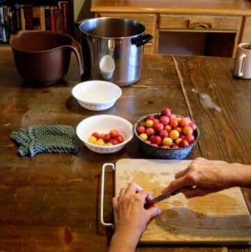 Using a sharp paring knife, slit open each plum, making a whole through which you can squeeze the seed.