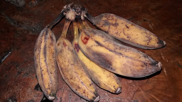 pisang goreng banana