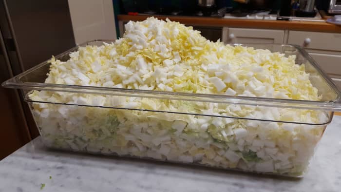 Two heads of chopped Chinese cabbage fills this large container to overflowing.