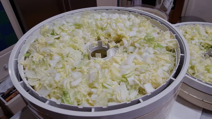 Diced cabbage ready for drying.