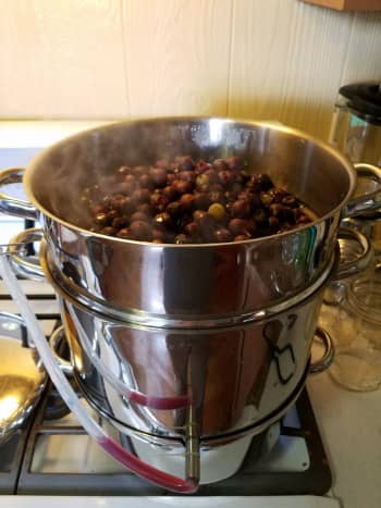 how to make apple juice with a steam juicer