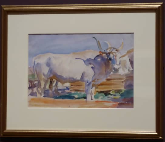 Sargent was fascinated by the Chianina ox. He painted many of these magnificent beasts. Copyright image by Frances Spiegel with permission from Dulwich Picture Gallery. All rights reserved. 