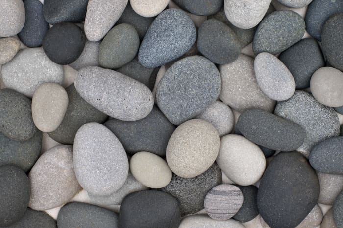 Beach cobblers found on Pier Cove Beach primarily basalt volcanic rock, limestone or sandstone