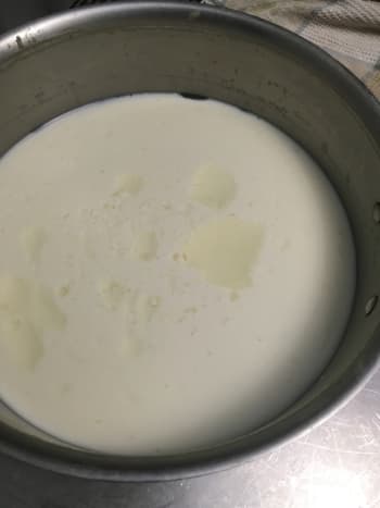 Culture milk 10-16 hours. It will look like yogurt.