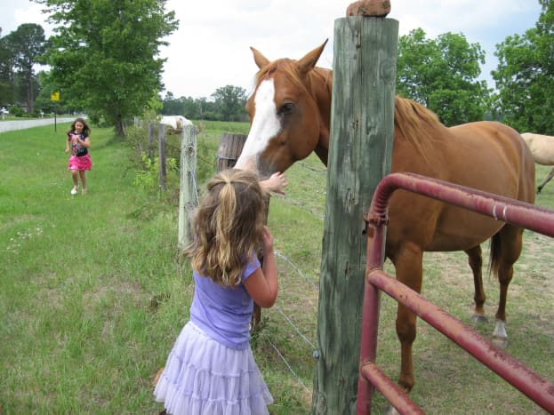 Audrie's careful not to get a horse bite.