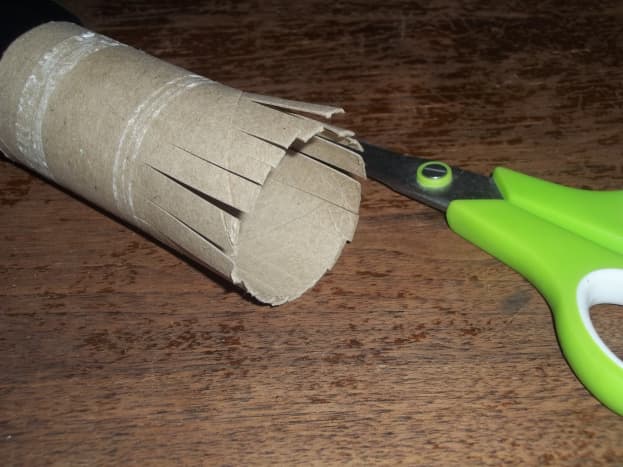 DIY: Cat Ring Toys Made from TP Rolls - Arizona Humane Society