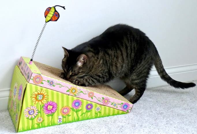 Many cats love corrugated cardboard scratchers.