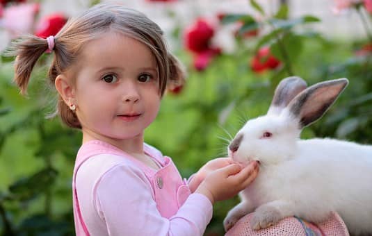 When handled correctly, rabbits are very affectionate pets.