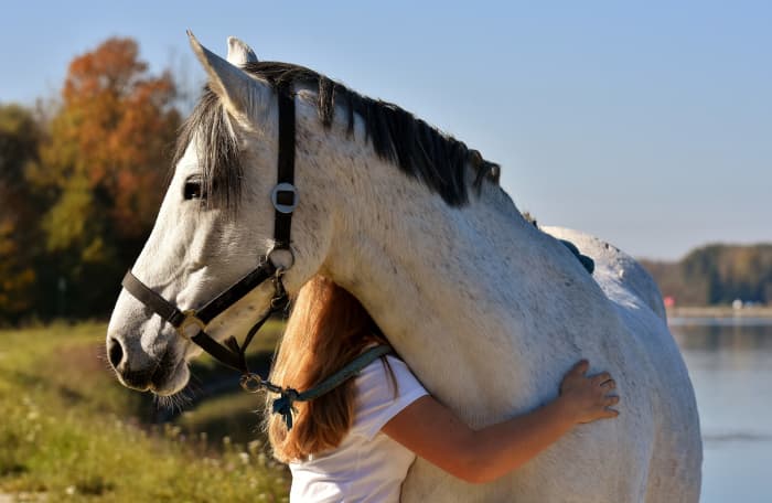 Horses are known to be exceptionally good at calming hard-to-reach children and recovering addicts, as they often convey an understanding and tranquil presence.