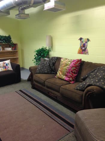 Living room space at shelter aids in helping dogs adapt to a home environment while waiting to be adopted