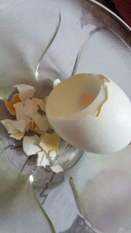 Boil an egg. Crush egg shell and egg white into small pieces. Provide this to your lovebirds as it is a rich source of calcium. This helps a lot for egg-bound females too.