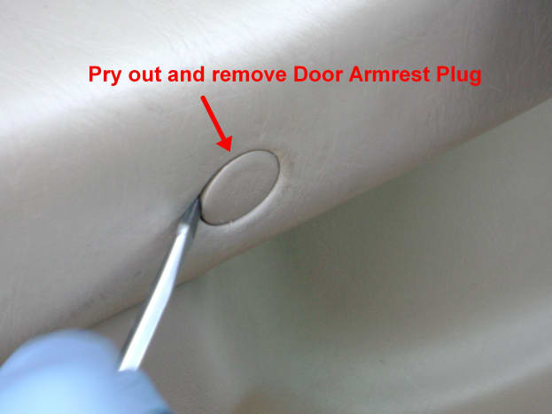 Toyota Camry Rear Door Panel Screw Plug