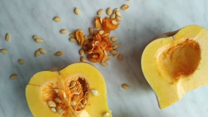 Optional Alternatives for Peanut Butter. Cooked butternut squash