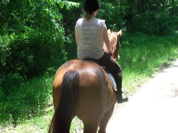 Horses feel our energy, so having calm, confident energy is a super important horsemanship skill.