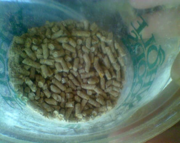 A container of the nutrient-rich food pellets we feed our chickens every day.