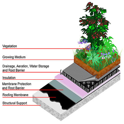 Green roofing is used n Oakland CA, New York City, Washington DC, and other cities already.
