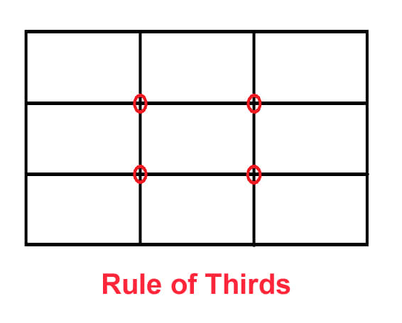 The Rule of Thirds provides suggestions for where to place focal points. The red dots are strong positions, and any of the lines are great.
