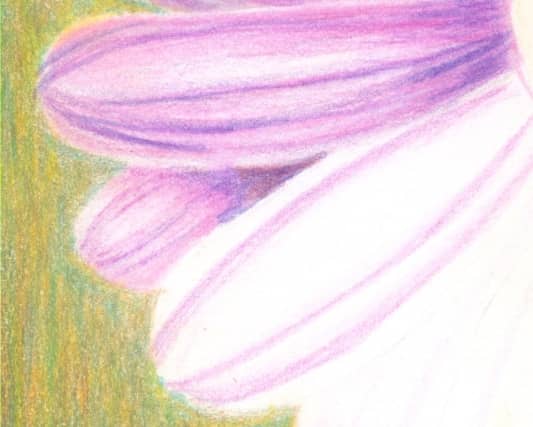 painting-flowers-with-colored-pencils