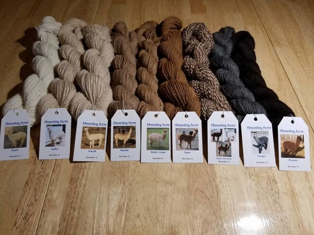 Alapca yarn comes in many beautiful natural colors.