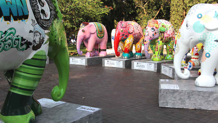 A gathering of the elephants in Lumpini Park, Bangkok