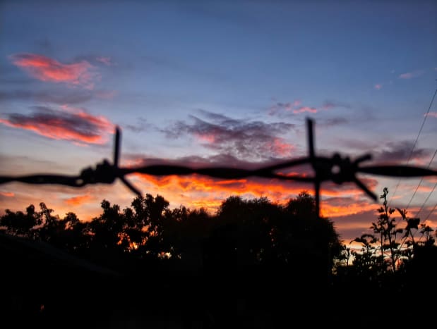 Silhouetted Barb Wire