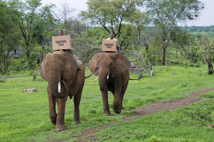 OCC shoeboxes delivered by elephant in Zimbabwe.