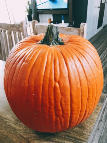 This is the pumpkin I picked out at my local pumpkin patch. 